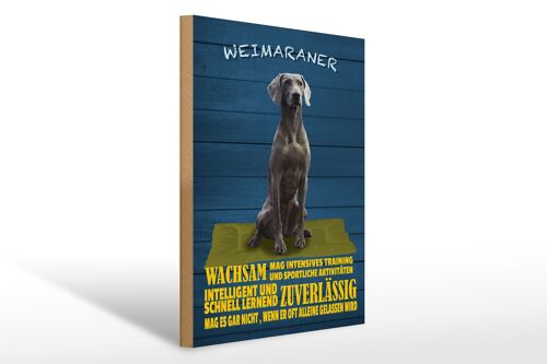 Holzschild Spruch 30x40cm Weimaraner Hund wachsam schnell