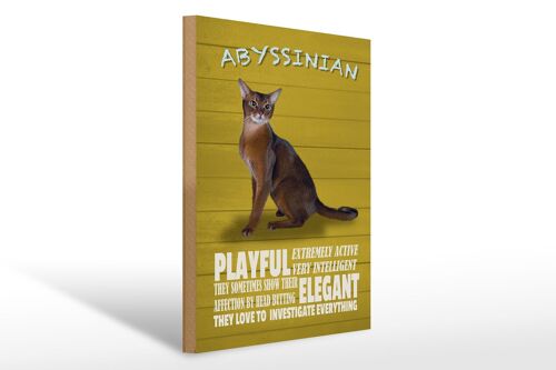 Holzschild Spruch 30x40cm Abyssinian Katze playful elegant