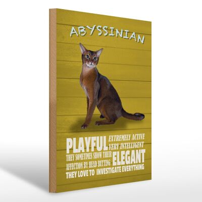 Holzschild Spruch 30x40cm Abyssinian Katze playful elegant