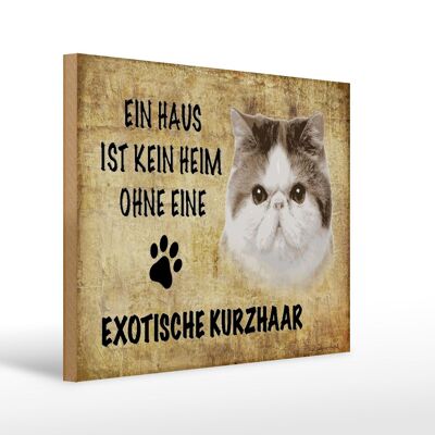 Holzschild Spruch 40x30cm exotische Kurzhaar Katze