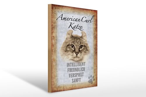 Holzschild Spruch 30x40cm American Curl Katze Geschenk