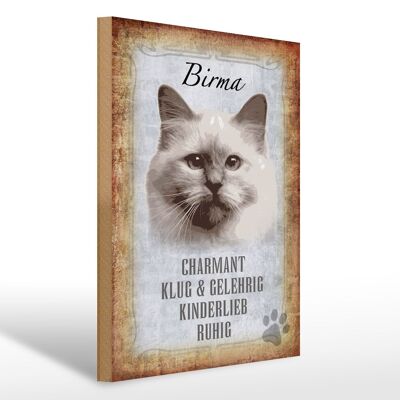 Holzschild Spruch 30x40cm Birma Katze klug Geschenk