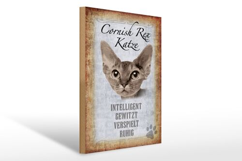 Holzschild Spruch 30x40cm Cornish Rex Katze Geschenk