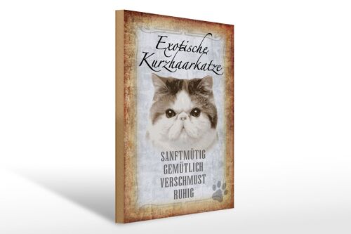 Holzschild Spruch 30x40cm exotische Kurzhaarkatze Katze