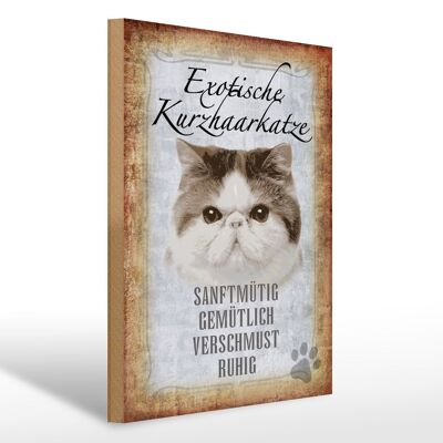 Holzschild Spruch 30x40cm exotische Kurzhaarkatze Katze