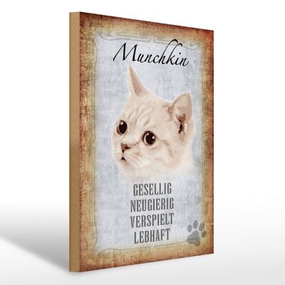 Holzschild Spruch 30x40cm Munchkin Katze lebhaft Geschenk