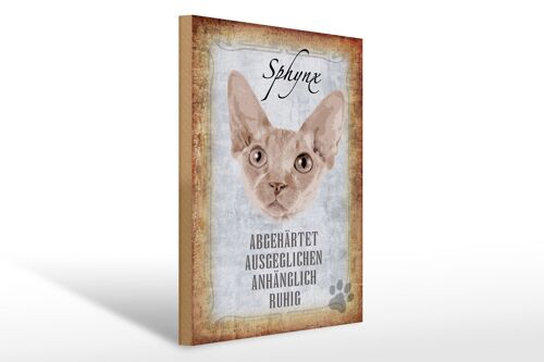 Holzschild Spruch 30x40cm Sphynx Katze Geschenk Wanddeko