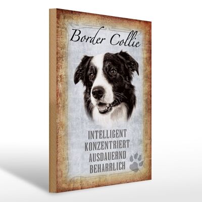 Cartello in legno con scritta in regalo cane Border Collie 30x40 cm