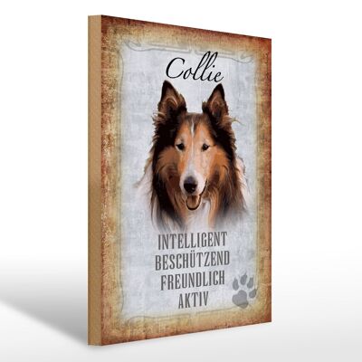 Holzschild Spruch 30x40cm Collie Hund freundlich Geschenk