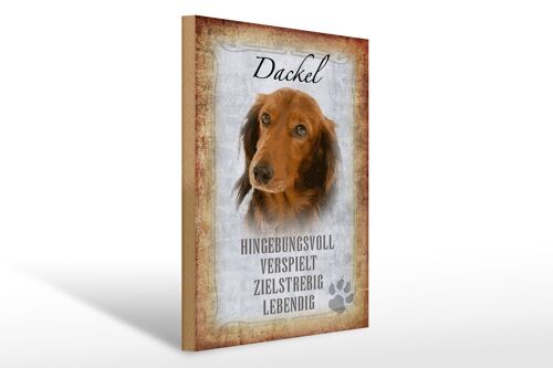 Holzschild Spruch 30x40cm Dackel Hund lebendig Geschenk