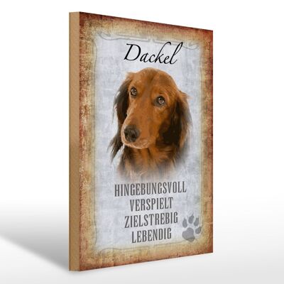 Holzschild Spruch 30x40cm Dackel Hund lebendig Geschenk