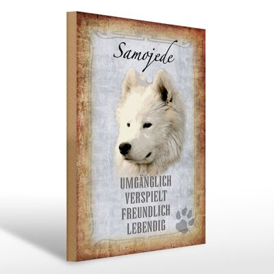 Holzschild Spruch 30x40cm Samojede Hund Geschenk