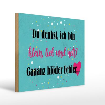 Holzschild Spruch 40x30cm du denkst ich bin klein lieb