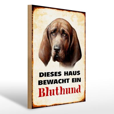 Holzschild Hund 30x40cm dieses Haus bewacht ein Bluthund