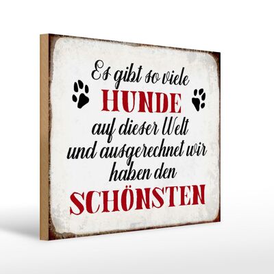 Holzschild Spruch 40x30cm es gibt so viele Hunde Geschenk