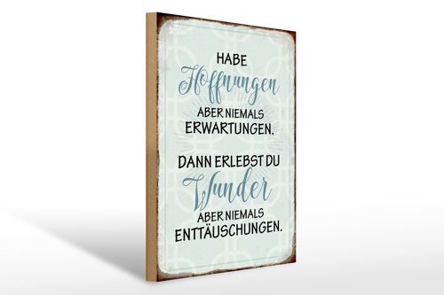 Holzschild Spruch 30x40cm habe Hoffnungen nie Erwartungen