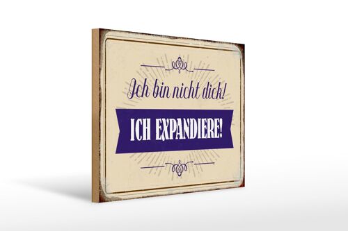 Holzschild Spruch 40x30cm bin nicht dick ich expandiere