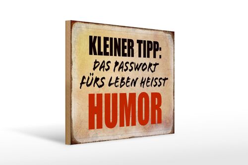 Holzschild Spruch 40x30cm kleiner Tipp das Passwort Humor