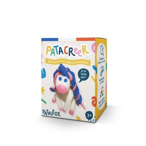 Kit ma licorne en pâte à modeler