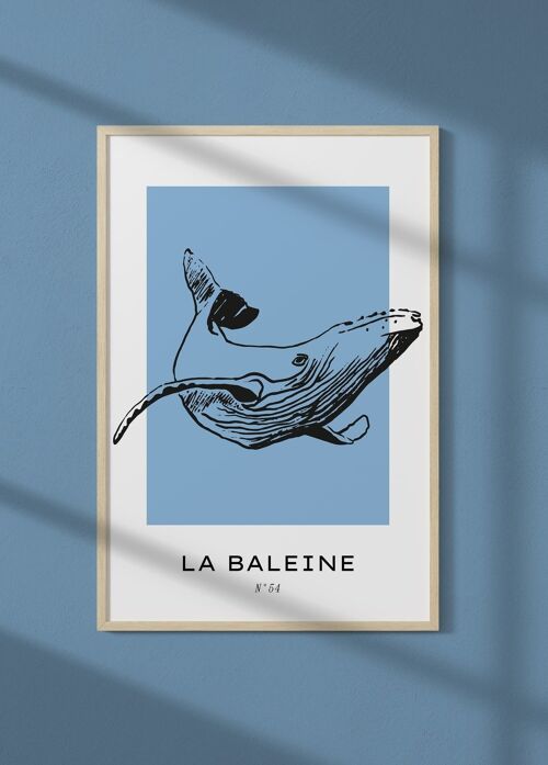 Affiche La baleine