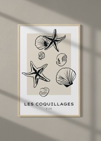 Affiche Les coquillages 1