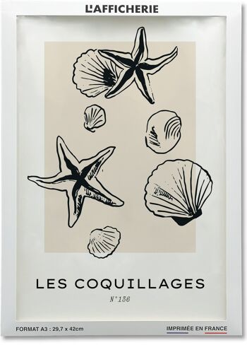 Affiche Les coquillages 2