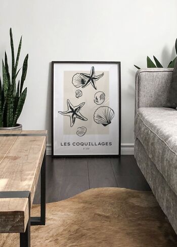 Affiche Les coquillages 4