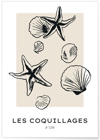 Affiche Les coquillages 5