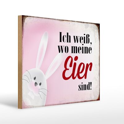 Holzschild Spruch 40x30cm Osterhase weiß wo Eier sind