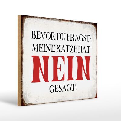 Holzschild Spruch 40x30cm meine Katze hat nein gesagt