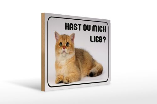 Holzschild Katze 40x30cm hast du mich lieb? Geschenk