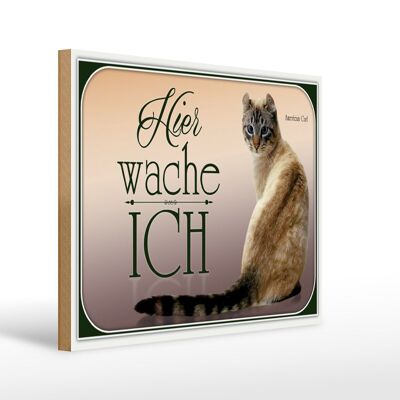 Holzschild Katze 40x30cm American Curl hier wache ich