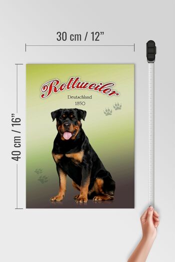 Panneau en bois chien 30x40cm Rottweiler Allemagne 1850 4