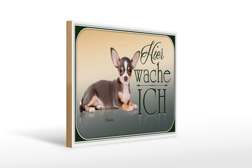 Holzschild Hund 40x30cm Welsh Corgi hier wache ich