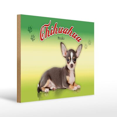 Holzschild Hund 40x30cm Chihuahua Mexiko Wanddeko