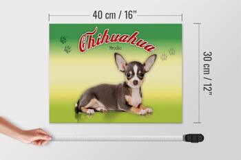 Panneau en bois chien 40x30cm Chihuahua Mexique décoration murale 4