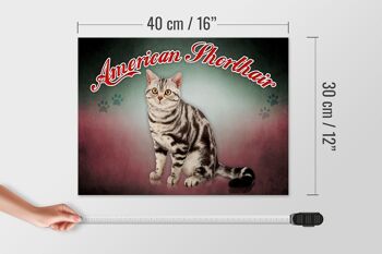 Panneau en bois chat 40x30cm American Shorthair décoration murale 4