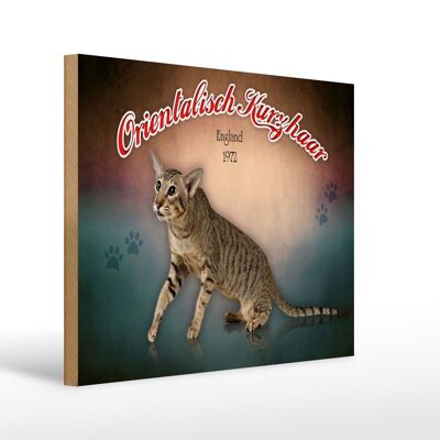 Panneau en bois chat 40x30cm Oriental Shorthair Angleterre