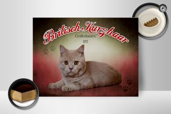 Panneau en bois chat 40x30cm British Shorthair Grande-Bretagne 2