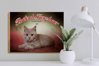 Panneau en bois chat 40x30cm British Shorthair Grande-Bretagne 3