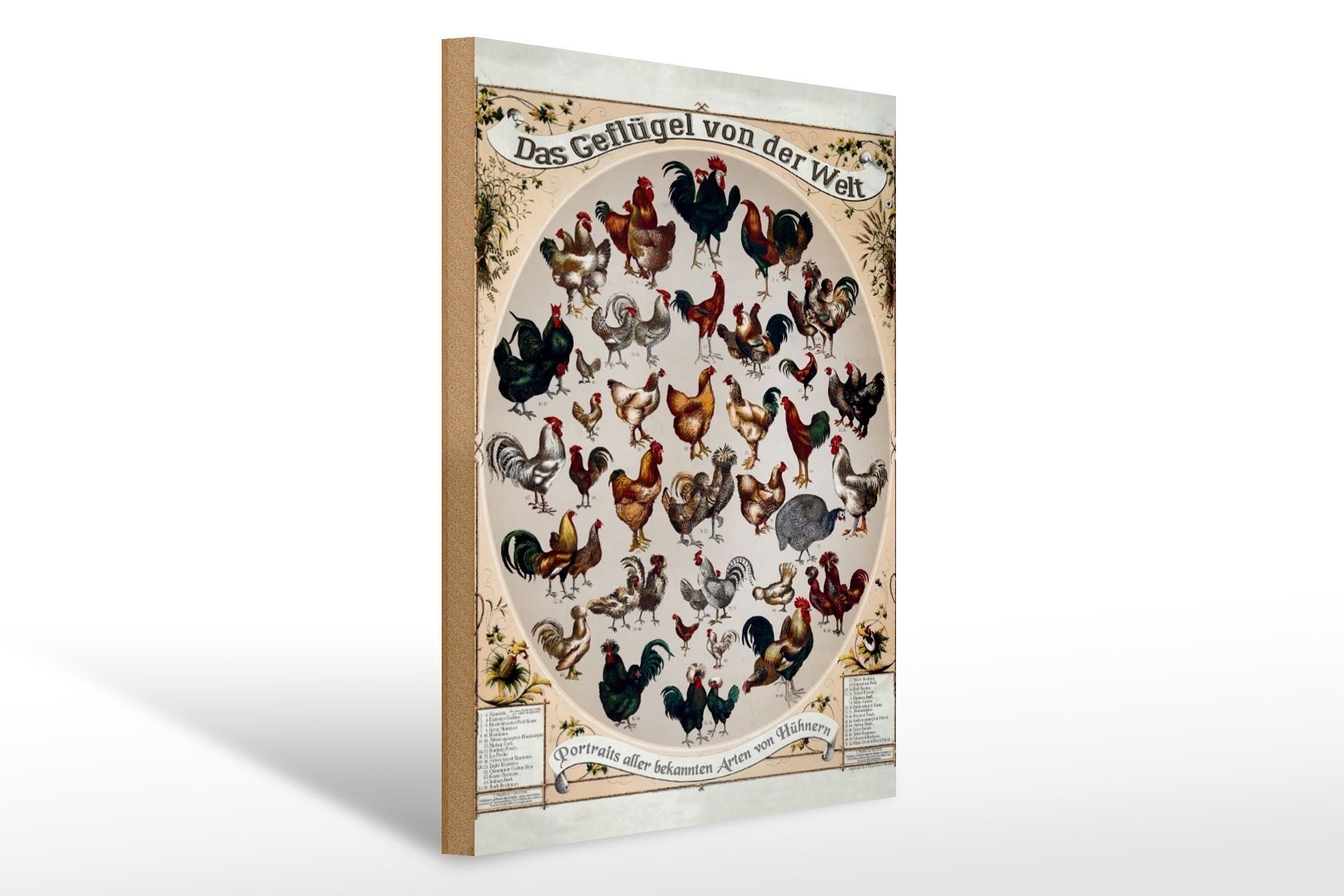 Holzschild Geflügelart 30x40cm das Geflügel von der Welt