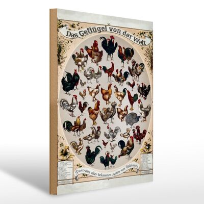 Cartel de madera tipo aves de corral 30x40cm las aves del mundo