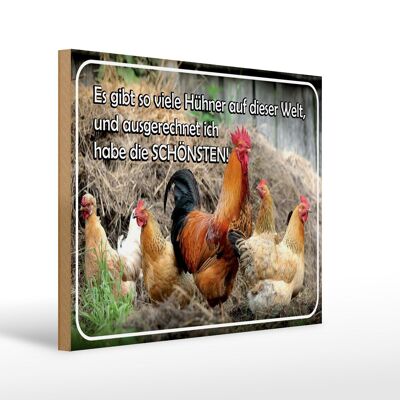 Holzschild Spruch 40x30cm es gibt so viele Hühner und