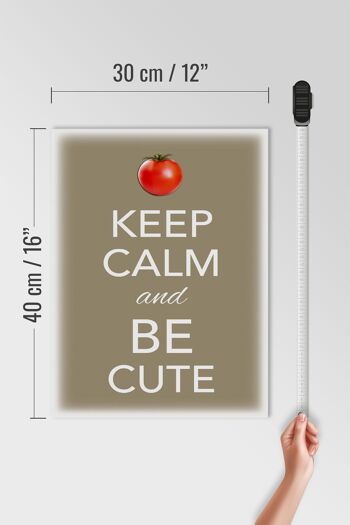 Panneau en bois disant 30x40cm Keep Calm and be cute tomate 4