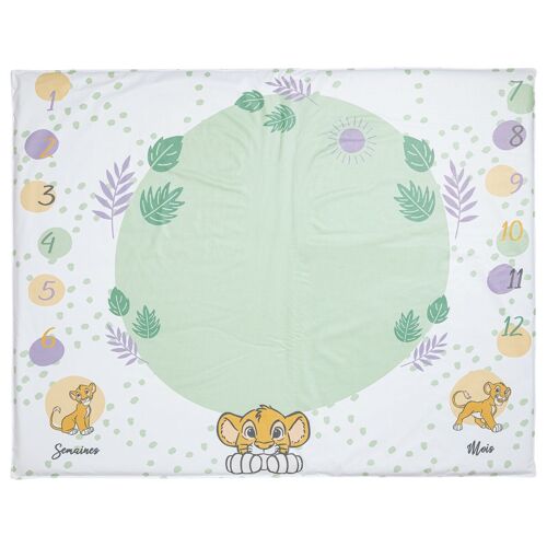 Tapis de jeu / Fond de parc - PVC 72x92 cm - Etapes anniversaire Roi Lion Cosy Time