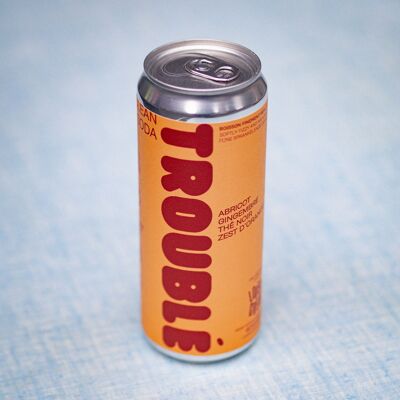CLEAN SODA - TROUBLE APRICOT GINGER - DOSE 33cl