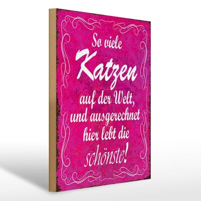 Holzschild Spruch 30x40cm so viele Katzen auf der Welt