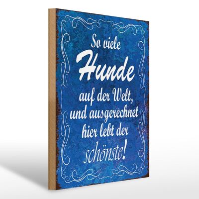 Holzschild Spruch 30x40cm so vielen Hunde auf der Welt