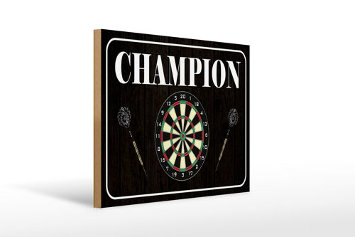 Holzschild Spruch 40x30cm Darts Champion
