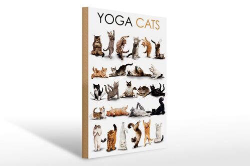 Holzschild Tiere 30x40cm Yoga Cats Katzen Geschenk